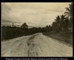 A long dirt road