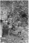 Laete'eboo and bamboo with shell money string on it, first of the mortuary feast; it will go in the ruu ritual bundle for mamu magic