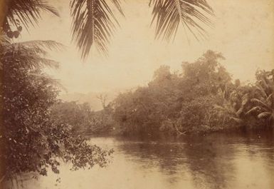 Creek Pohnpei. From the album: Views in the Pacific Islands