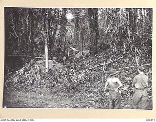 BOUGAINVILLE. 1945-04-06. A GENERAL VIEW SHOWING GULLY RUNNING WEST ON THE SOUTH SIDE OF SLATER'S KNOLL, WHERE TANKS SUPPORTED BY 25 INFANTRY BATTALION MOPPED UP THE REMAINING JAPANESE. TROOPS AND ..