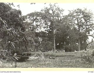 UPPER ILEBBE CREEK, NEW GUINEA. 1944-03-27. THE SITE OF THE UPPER ILEBBE CREEK ACTION IN THE AREA OF THE 20TH INFANTRY BRIGADE