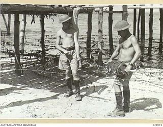 PORT MORESBY, PAPUA. 1942-07-20. AUSTRALIAN SOLDIERS LAYING BARBEDWIRE ENTANGLEMENTS THROUGH THE "STILTS" OF A NATIVE VILLAGE. COASTAL NATIVES OF NEW GUINEA BUILD VILLAGES THIS WAY BECAUSE OF AN ..