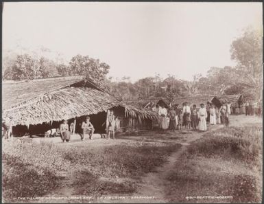 Local people in the village of Ruapu, Malaita, Solomon Islands, 1906 / J.W. Beattie