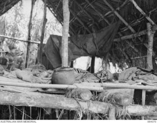 NAMBARIWA, NEW GUINEA. 1944-01-21. ONE OF THE MANY DEAD JAPANESE SOLDIERS FOUND IN THE SIO AREA AFTER THE AUSTRALIAN TROOPS TOOK POSSESSION