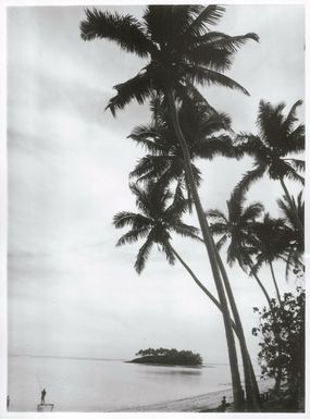 Pacific Islands - Cook Island - Rarotonga - Scenics