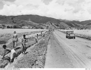 DUMPU AIRSTRIP, NEW GUINEA. 1943-11-14. ENGINEERS OF THE 7TH AUSTRALIAN DIVISION SUPERVISING THE DIGGING OF CULVERTS AND DRAINS ALONG THE ROADSIDE