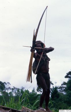 ["fotografi, photograph"]