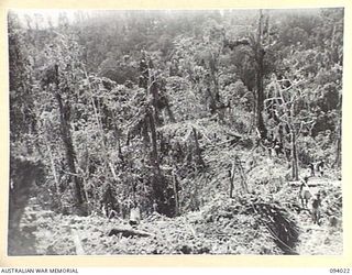 WEWAK AREA, NEW GUINEA, 1945-07-14. A VIEW OF THE DEVASTATION WROUGHT BY SHELL AND MORTAR FIRE ON "THE BLOT" PRIOR TO THE ASSAULT BY A COMPANY, 2/8 INFANTRY BATTALION, WITH B COMPANY IN SUPPORT