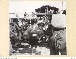 FOLLOWING THE SURRENDER OF THE JAPANESE, MUSCHU ISLAND IS NOW UNDER THE CONTROL OF HQ 6 DIVISION AND THE ISLAND NATIVES ARE BEING EVACUATED TO NEW GUINEA FOR REHABILITATION BY AUSTRALIALN NEW ..