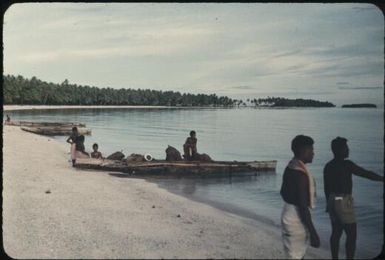 Further along the coral atoll beach (1) : Mortlock Islands, Papua New Guinea, 1960 / Terence and Margaret Spencer