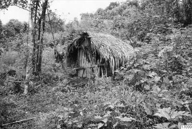 ["yamslada, halmtak, landskap, lada, fotografi, photograph"]