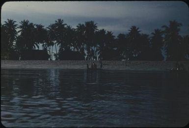 Further along the coral atoll beach (4) : Mortlock Islands, Papua New Guinea, 1960 / Terence and Margaret Spencer