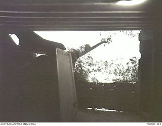 NEW BRITAIN, 1945-09. A JAPANESE NAVAL GUN POSITION ON THE GAZELLE PENINSULA. (RNZAF OFFICIAL PHOTOGRAPH.)