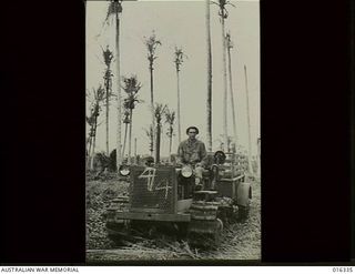 New Britain. 15 December 1943. A tractor advances through the coconut grove at Arawe towards Japanese positions further inland. Bombing and strafing attacks by Allied aircraft had caused havoc ..