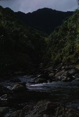 [View of Hanakapiai Valley in Na Pali-Kona Forest, United States]