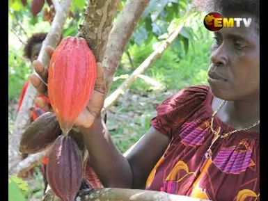 Bernice's story
