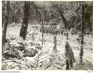 DOYABIE AREA, BOUGAINVILLE ISLAND. 1944-11-23. TROOPS OF THE 9TH INFANTRY BATTALION DEBUSSING AT THE END OF THE NUMA NUMA TRAIL AS THEY MOVE INTO THE FORWARD AREA TO TAKE OVER POSITIONS FROM THE ..