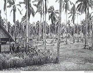 LUNGGA, GUADALCANAL, SOLOMON ISLANDS, 1944-02-29. LOOKING TOWARDS HENDERSON AIRFIELD FROM THE HEADQUARTERS CAMP OF THE DEPUTY SUPERVISING INTELLIGENCE OFFICER (DSIO), NAVAL INTELLIGENCE DIVISION, ..