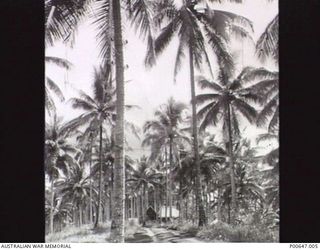 MILNE BAY, PAPUA, C.1942. THE RADAR INSTALLATION AT NO. 37 RAAF RADAR STATION WELL HIDDEN FROM THE AIR. (DONOR - T.G. JONES)