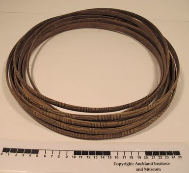 Belt