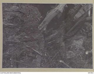 WEWAK POINT, NEW GUINEA, 1945-05-11. THE ENTRANCE TO ONE OF THE MANY CAVES IN THE AREA USED BY THE JAPANESE IN THE DEFENCE OF WEWAK. 2/4 INFANTRY BATTALION TROOPS NOW OCCUPY THE AREA