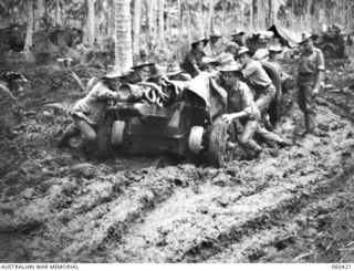 GODOWA, NEW GUINEA. 1943-11-05. TROOPS OF THE 2/6TH AUSTRALIAN REGIMENT MANHANDLING A SHORT 25-POUNDER INTO POSITION THROUGH HEAVY JUNGLE MUD. SHOWN ARE: NX15920 GUNNER P. HUNT (1); VX75689 GUNNER ..