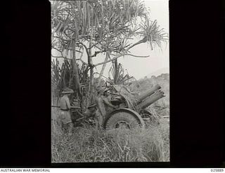 Port Moresby, New Guinea. 1942-07-11. The crew of a 25-pounder gun, which is camouflaged with tropical foliage, await firing orders during jungle manoeuvres carried out under the direction of an ..