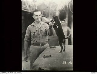 NEW GUINEA. C. 1943-09. CORPORAL J. J. BOWDEN OF ALBURY, NSW, A MEMBER OF NO. 2 MEDICAL RECEIVING STATION (DETACHMENT) RAAF, WITH HIS MASCOT, A DOG CALLED "CORPORAL NAFFU"