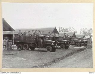 CAPE WOM, WEWAK AREA, NEW GUINEA, 1945-07-02. A LINE UP OF TRUCKS IN THE DEPOT AREA, 2/22 SUPPLY DEPOT PLATOON