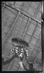 Wicker casket with turtle carapace cover, containing bones of Kourabi, an ancestor, being lowered from roof of a maneaba, meeting house, on Tabiteuea