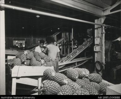 Pineapple cannery