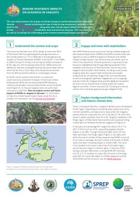 Marine Heatwave Impacts on Seagrass in Vanuatu - Fisheries