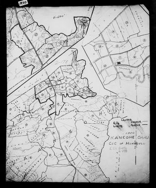 1940 Census Enumeration District Maps - Hawaii - Honolulu County - Kaneohe - ED 2-176, ED 2-178