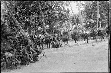 Row of Dukduks, with seated onlookers, Matupit, Rabaul Harbour, New Guinea, 1929, 2 / Sarah Chinnery