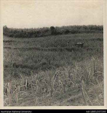 Soil Conservation
