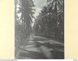 MILNE BAY, NEW GUINEA. 1943-01. THE PALM FRINGED ROAD FROM HEADQUARTERS, 5TH DIVISION TO THE WHARF AT GILI GILI