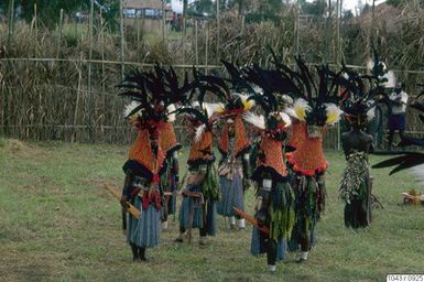 ["dans, uppträdande, fotografi, photograph"]