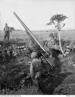 NEW IRELAND, 1945-10. TWO JAPANESE SERVICEMEN AND AN ARTILLERY PIECE. (RNZAF OFFICIAL PHOTOGRAPH.)