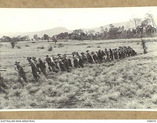RAMU VALLEY, NEW GUINEA. 1943-10-02. INFANTRY BATTALION WORKING PARTY, UNDER THE DIRECTION OF ENGINEERS OF D COMPANY, 2/6TH AUSTRALIAN FIELD COMPANY, ROYAL AUSTRALIAN ENGINEERS, HAULING LOGS ACROSS ..