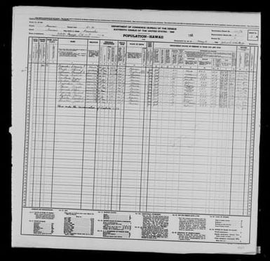 1940 Census Population Schedules - Hawaii - Hawaii County - ED 1-73