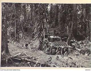 BOUGAINVILLE. 1945-04-05. 25 INFANTRY BATTALION TROOPS MOVING THROUGH A GULLY, COVERED BY B SQUADRON 2/4 ARMOURED REGIMENT MATILDA TANKS, DURING ATTACK AGAINST JAPANESE FORCES WHO HAD OCCUPIED THE ..