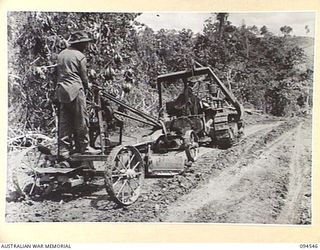 YAMIL 3, NEW GUINEA, 1945-07-23. MEMBERS OF 10 PLATOON, 2/14 FIELD COMPANY ROYAL AUSTRALIAN ENGINEERS, USING A ROAD GRADER TOWED BY A CATERPILLAR TRACTOR GRADING THE ROAD TOWARDS YAMIL 3, AFTER A ..