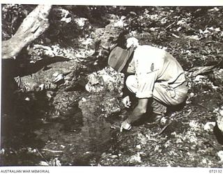 FINSCHHAFEN AREA, NEW GUINEA. 1944-04-09. NX108123 MAJOR J.H.D. EDWARDS, DEPUTY ASSISTANT DIRECTOR OF HEALTH, 2ND AUSTRALIAN CORPS EXAMINING A ISOLATED ROCK POOL IN DRY WEALTHER SHOWING HEAVY ..