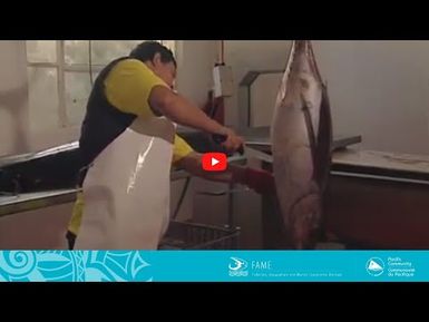 COASTAL FISHERIES TRAINING | 2.3 - Quarter loining of albacore tuna