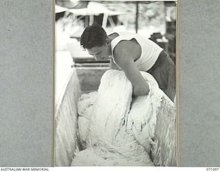 KILIGIA, NEW GUINEA. 1944-03-13. VX12344 CORPORAL I.D. BRYANT, BAKER OF THE 8TH FIELD BAKERY PLATOON, ATTACHED TO THE 5TH DIVISION, MIXING 900 POUNDS OF DOUGH IN A TROUGH BY HAND