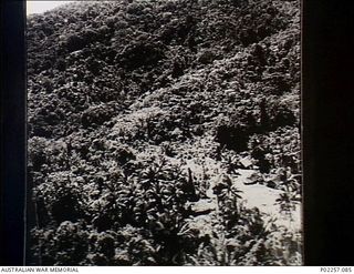 Kairiru Island, New Guinea, 1945-06-18. Aerial view, taken at an altitude of 200 feet from the rear gun position on the side of a United States Army Air Force (USAAF) Consolidated B-24 Liberator, ..