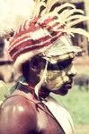 Young man wears face paint, baler shell valuable, red headdress decorated with yellow cockatoo feathers and marsupial fur