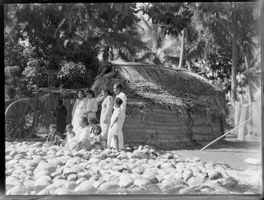 Unidentified Tongan villagers, posing beside coconuts drying in the sun