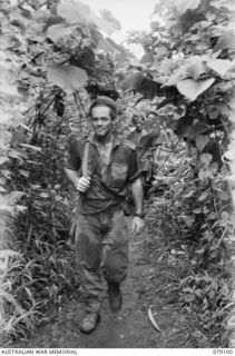 WARAPA AREA, BOUGAINVILLE ISLAND. 1945-02-13. MEMBERS OF A PATROL FROM A COMPANY, 61ST INFANTRY BATTALION MOVING THROUGH AN OLD NATIVE GARDEN AFTER SEARCHING THE JAPANESE HUTS IN THE WARAPA AREA. ..