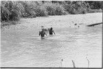 Schrader Range: men carry cargo across Anjimamp River between Korumbon and Ambaiat